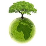 ekologia-swiadomosc-ekologiczna-edukacja